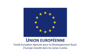 Logo_UE_FEADER